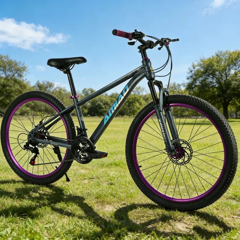 Mehrstufiges Mountainbike mit  – Cycling Commute Speed Bewertung und Preis